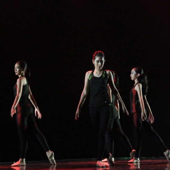 BalletFIT For Adults​​